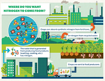 Where do you want nitrogen to come from? Crops can absorb synthetic nitrogen from fertilizers, or nitrogen from recycled water. The water that is generated from producing food products (washing, cooking, etc.) has nitrogen. Crops are sent to food producers.